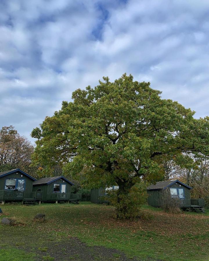 Nexo Camping & Cabins Exterior foto